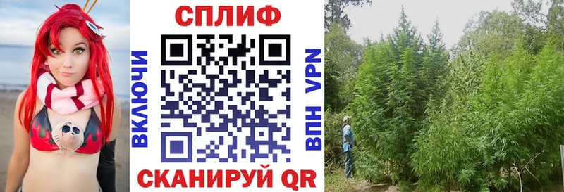 Бошки Шишки LSD WEED  Усмань 